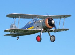 Durafly (PNF) Gloster Gladiator Mk1 Chasseur Biplan EPO 1100mm (43")